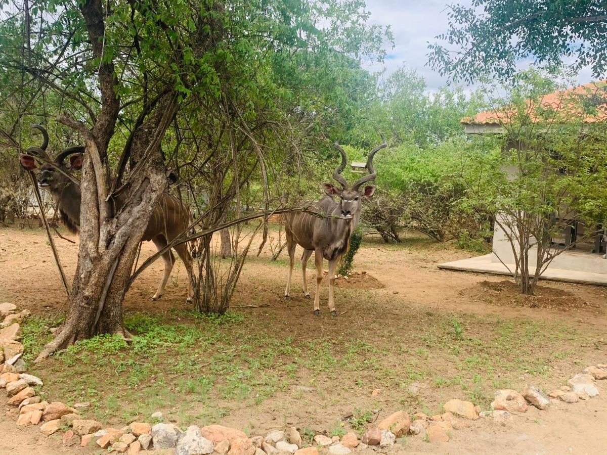 Impala Lily Marloth Park Exterior foto